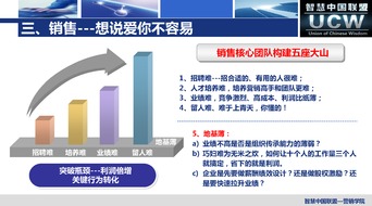 新媒體沖擊下的全網營銷實戰 智慧中國聯盟廈門信息技術咨詢服務的探索